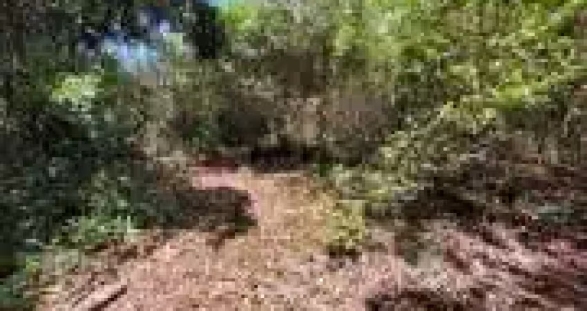 Terreno de chácara com escritura em itanhaém - r$ 50.000,00.