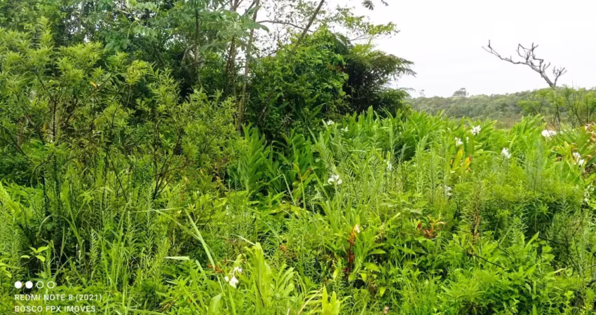 Terreno à venda na Praça Ângelo Guerra, 012, Balneário Gaivota, Itanhaém
