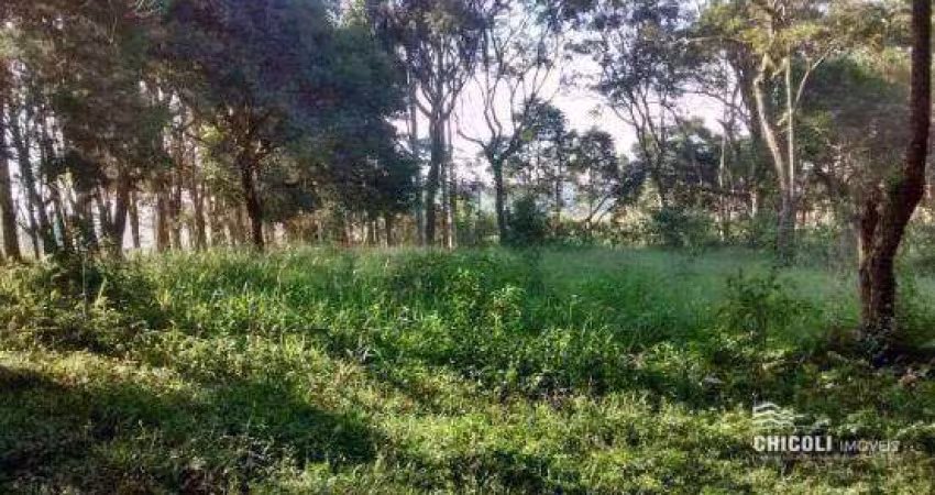 Terreno 20000 m² - Capela de São Pedro - Vargem Grande Paulista/SP