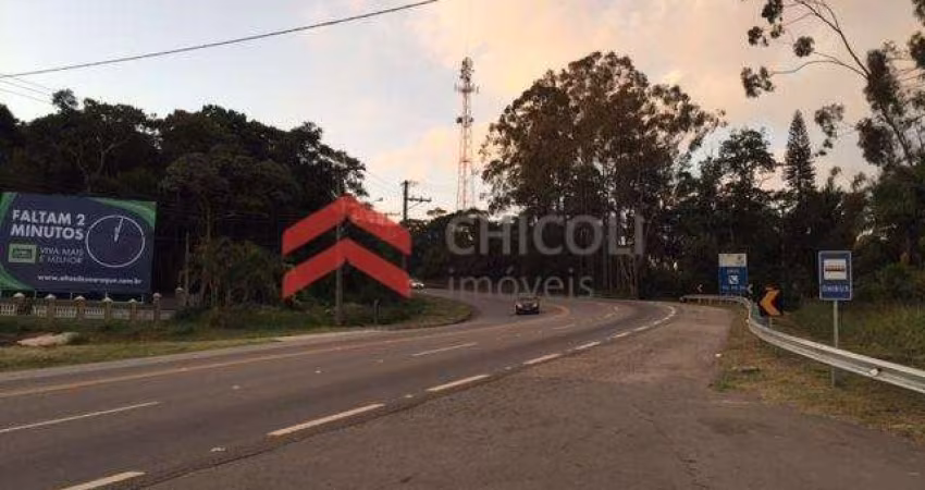 Terreno comercial para alugar na Rodovia Raposo Tavares, Jardim Bandeirantes, São Roque