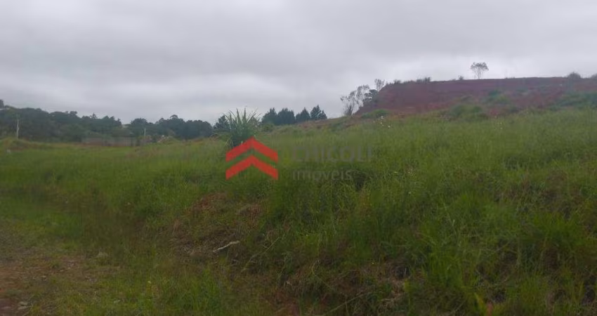 Terreno à venda na da Escola Agrícola, 2, Chácara São José, Cotia