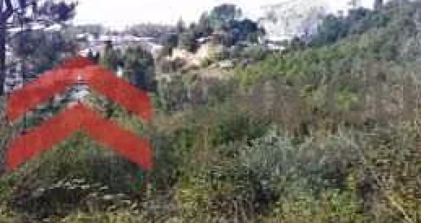 Terreno à venda na Do Espigão, 501, Tijuco Preto, Cotia
