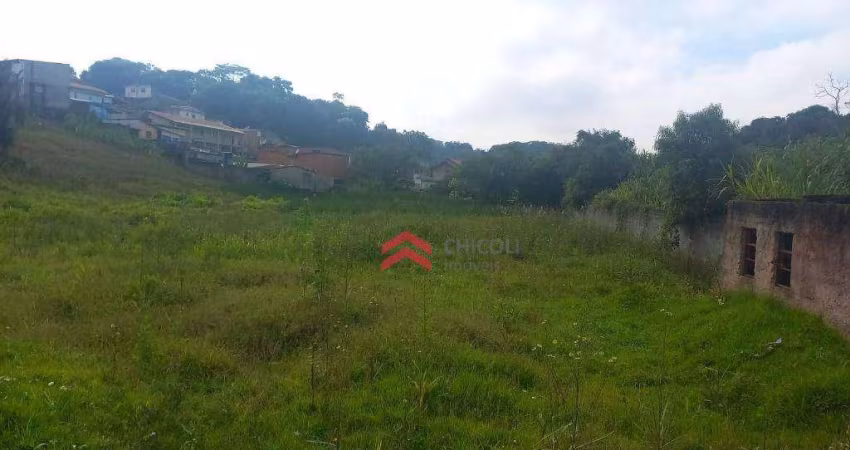 Terreno à venda, 4814 m²  - Jardim Bela Vista - Vargem Grande Paulista/SP