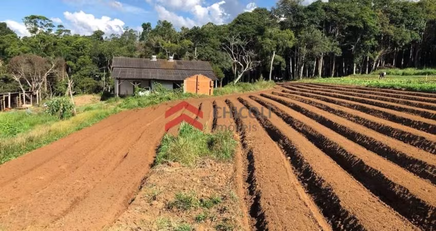 Terreno à venda na Das Graças, 159, Chácara Rincão, Cotia