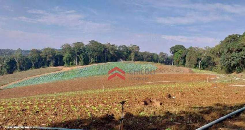 Terreno à venda 81.335 m² - Jardim São Marcos - Itapevi/SP