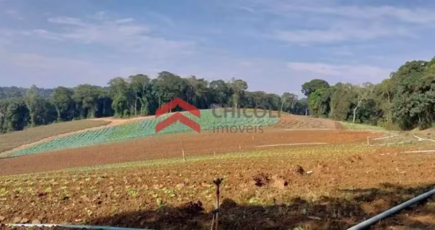 Terreno à venda na da Lagoa, 1, Jardim São Marcos, Itapevi