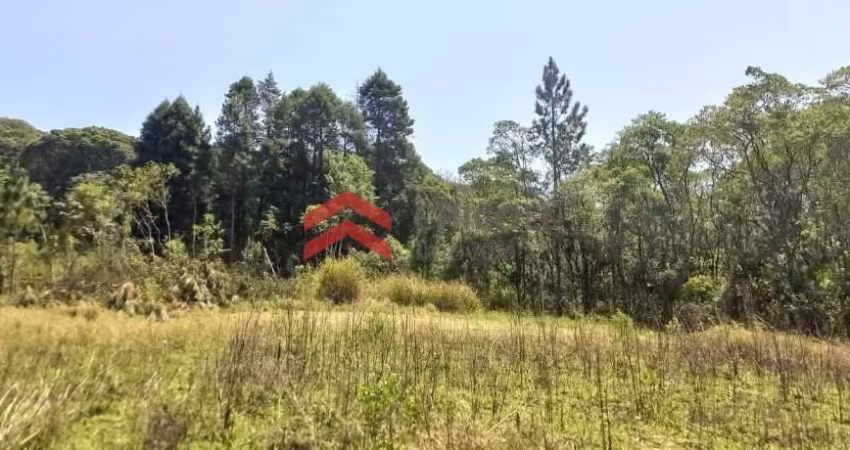 Terreno à venda na do Verava, 1, Centro, Ibiúna