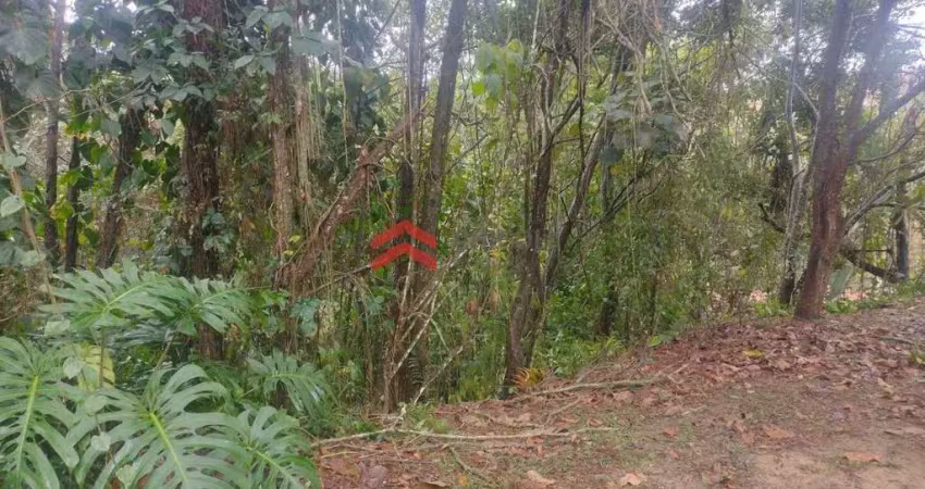 Terreno em condomínio fechado à venda na Adoniram Barbosa, Colinas de São Fernando, Cotia