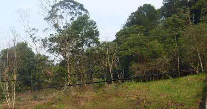 Terreno no anita garibaldi com 0 quartos para venda, 1260 m²