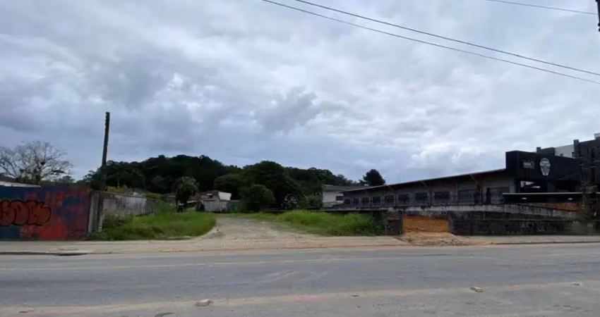 Terreno no anita garibaldi com 0 quartos para venda, 1220 m²
