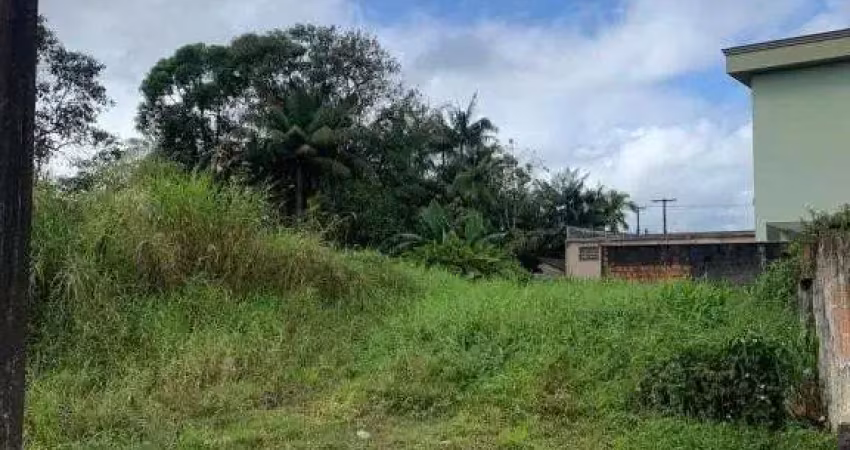 Terreno no vila nova com 0 quartos para venda, 390 m²