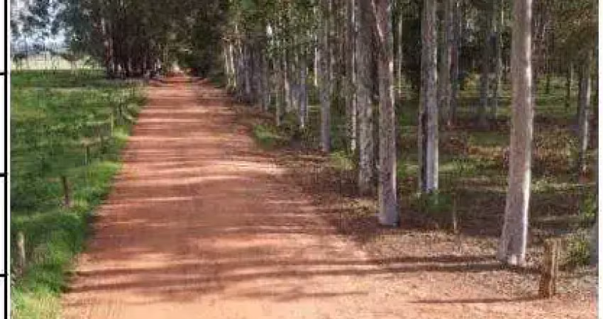 Oportunidade única em cianorte - pr | tipo: gleba | negociação: licitação aberta  | situação: imóvel