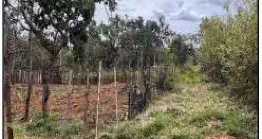 Oportunidade única em cidade ocidental - go | tipo: terreno | negociação: leilão  | situação: imóvel