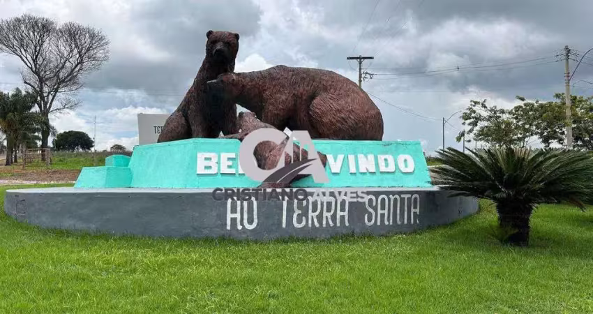 Terra santa galiléia - oportunidade  chácara  a venda no condomínio terra santa galiléia em trindade, preço de oportunidade,
