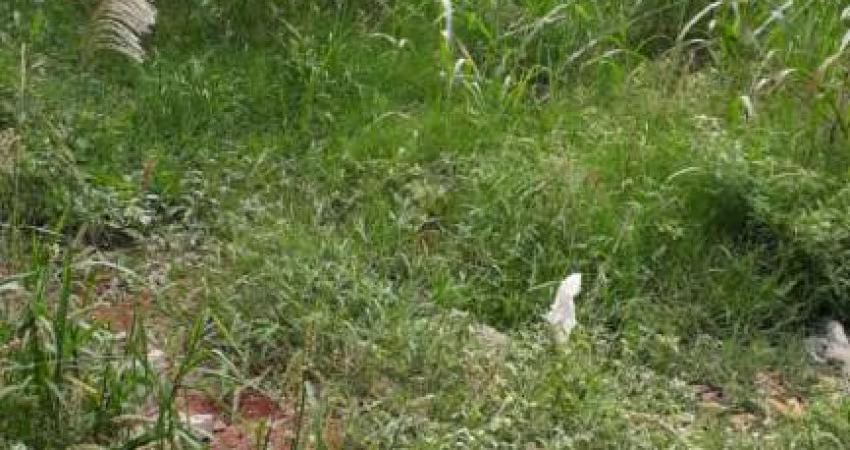 Terrenos LoteTerreno em Barrinha