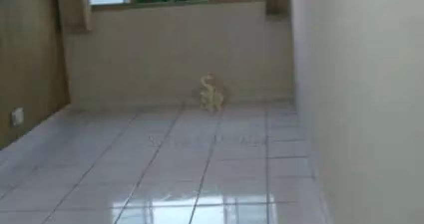 Apartamento para locação e venda no bairro vila virgínia em ribeirão preto/sp.
