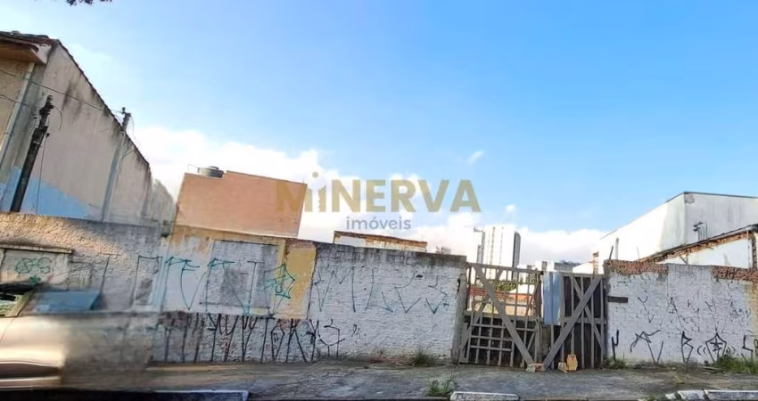 Lote / Terreno em Cidade Mãe do Céu  -  São Paulo