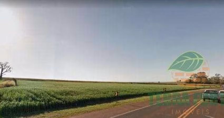 Terreno à venda na beira da PR445 com 8.990,00 M²