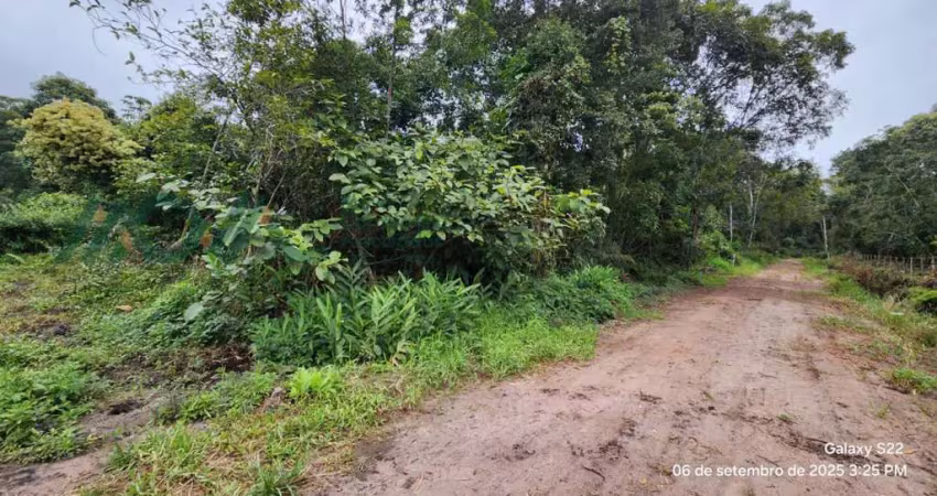 Terreno com rua aberta, quadra 29 lote 08 farol do itapoá ii