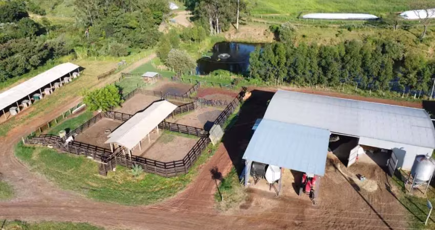 Ótima fazenda 212 hectares para leite e corte em brotas - sp - porteira fechada