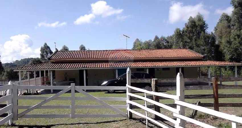 Sítio com Alto Potencial para Turismo Rural e Produção de Café – Oportunidade Rara!
