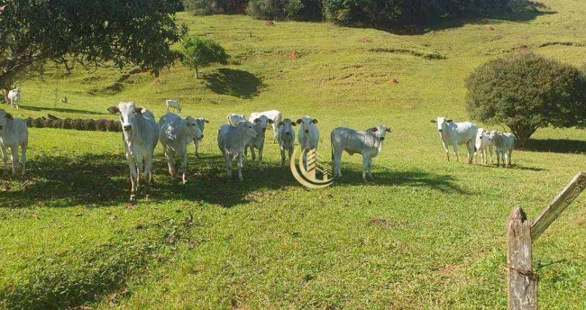 Fazenda com 4 dormitórios à venda, 1064800 m² por r$ 2.800.000,00 - macuco - taubaté/sp