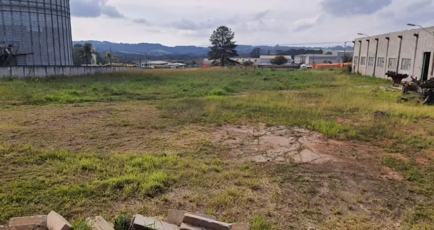 Terreno comercial industrial com frente para br-476