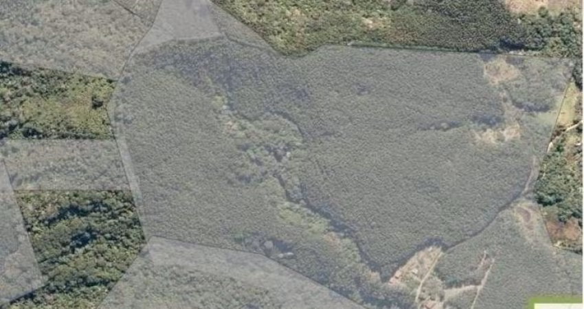 Área em Piracaia para compensação Ambiental 24alqueires