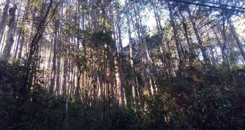 Terreno à venda em Atibaia-SP, bairro Portão, 22.000 m² de área! Confira essa oportunidade incrível!