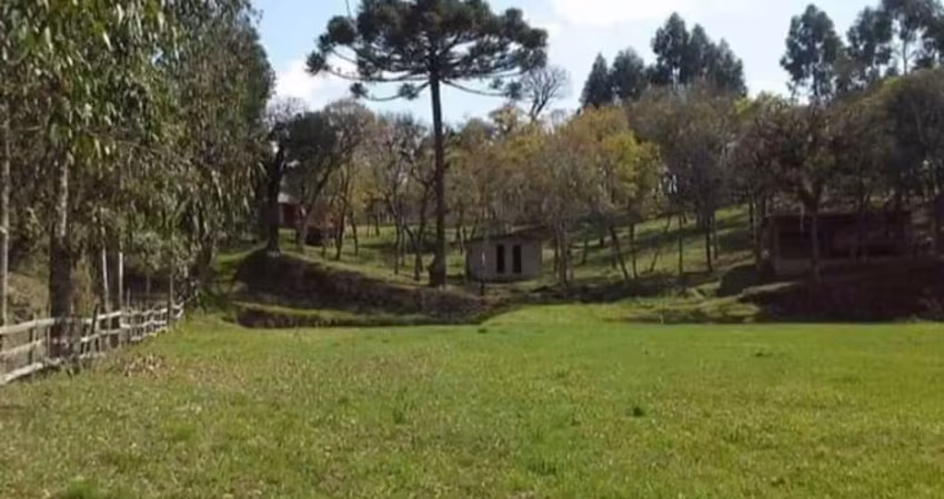 Chácara / sítio à venda na Estrada Rio da Várzea, Rio Da Várzea, Quitandinha