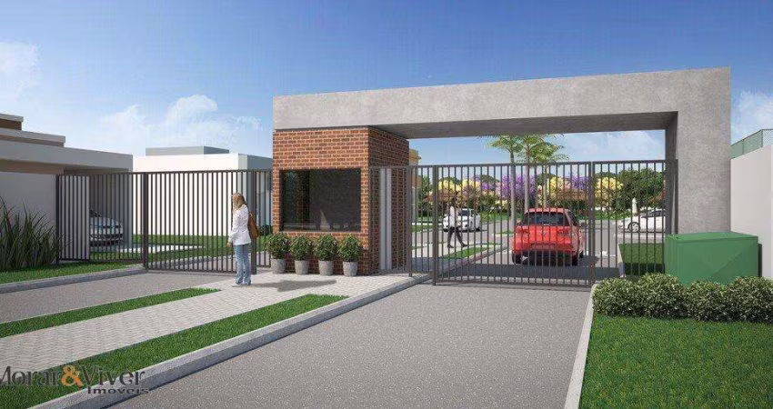 Terreno para Venda em São José dos Pinhais, Costeira