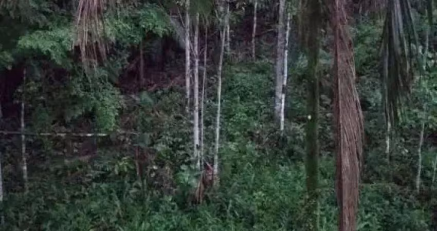 Chácara / sítio à venda na Estrada Do Anhaia, Anhaia, Morretes