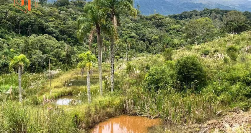 Chácara para Venda em Tijucas do Sul, Matulão