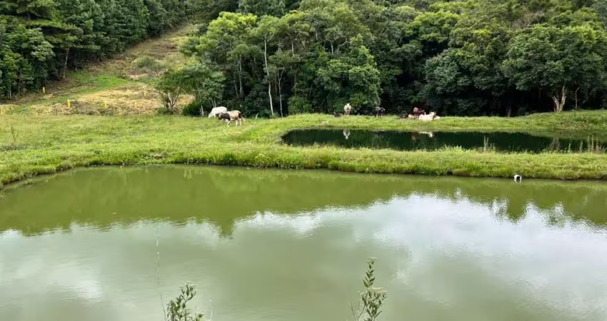 Sítio para Venda em Tijucas do Sul, Matulão