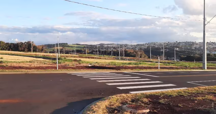 Terrenos a venda, vista para o centro, loteamento montebelo, pato branco,  pr.