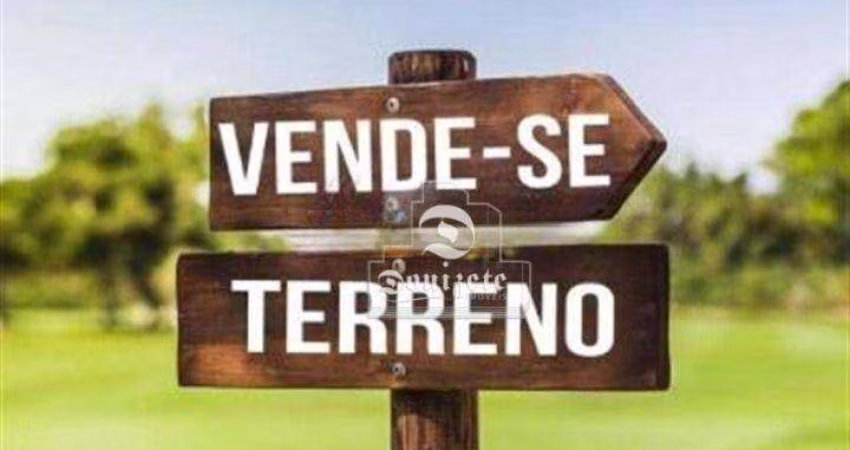 Terreno à venda, 330 m² por R$ 851.000,00 - Vila Floresta - Santo André/SP