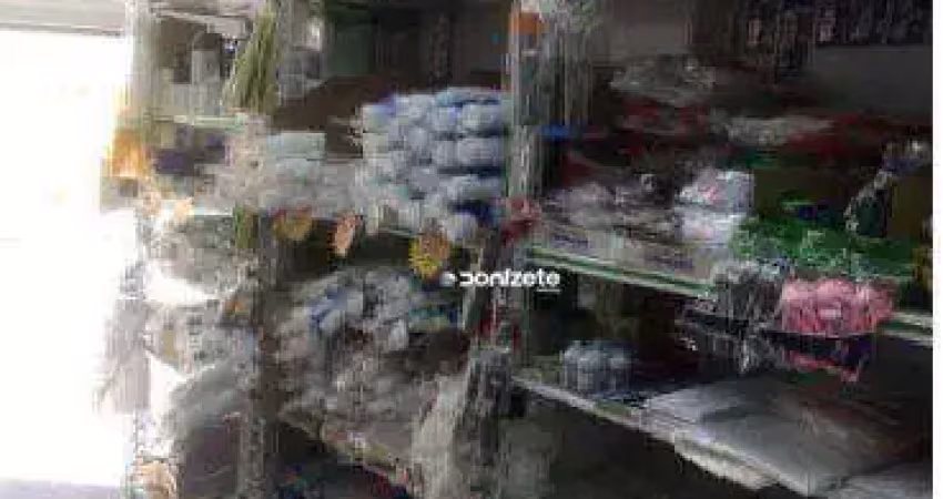 Loja tradicional de produtos descartáveis e materiais de limpeza em santo andré
