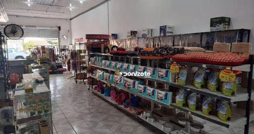 Pet shop a venda com banho e tosa e clínica veterinária em santo andré no abc