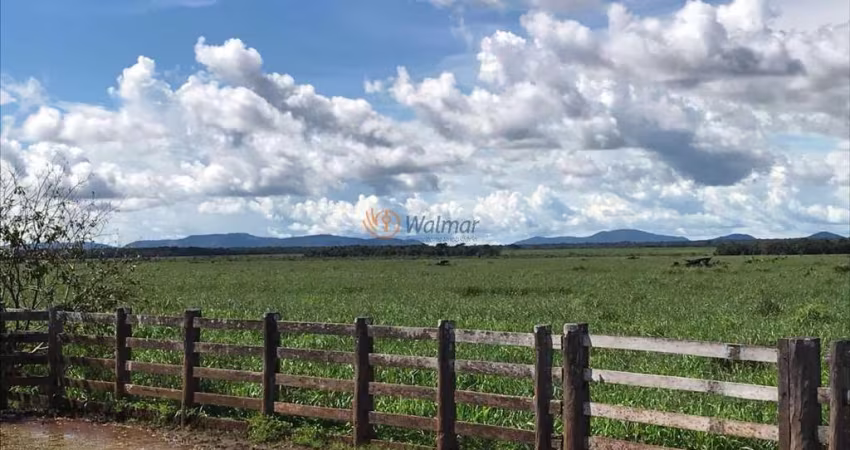 Extraordinária Fazenda à venda em Santa Terezinha, MT, 20.303,00 hectares.