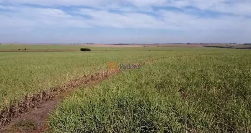 Fazenda de luxo à venda em Araçatuba-SP: 4 quartos, 1 suíte, 3 salas, 4 banheiros, 20 vagas de garagem, 402 hectares de área.
