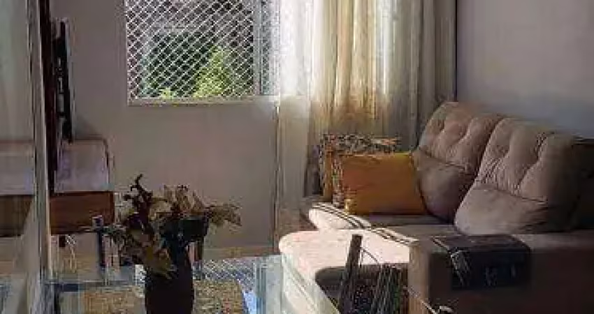Apartamento com 3 dormitórios à venda- Pirituba - São Paulo/SP