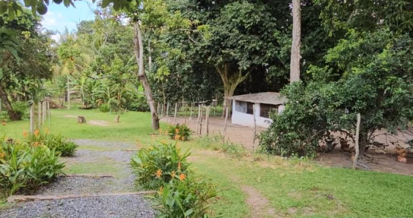Granja há 10 minutos da BR