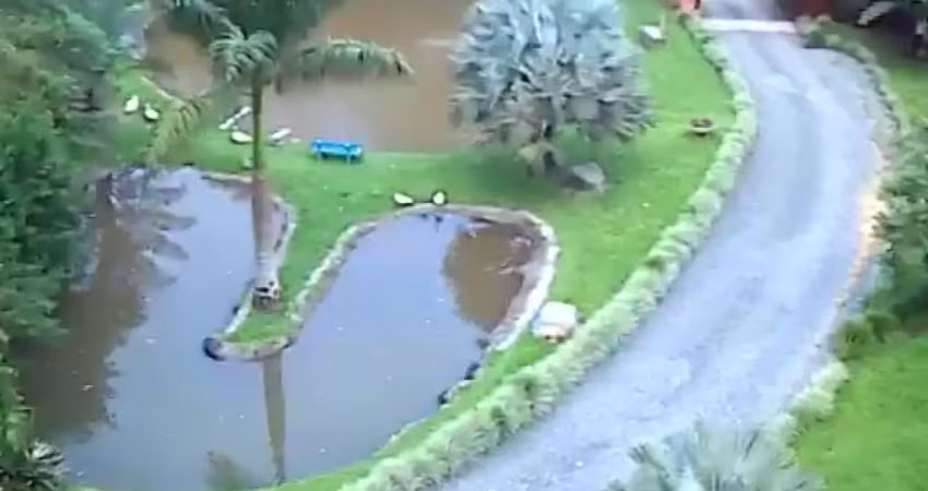 Chácara / sítio com 2 quartos à venda no Rio Bonito (Pirabeiraba), Joinville 