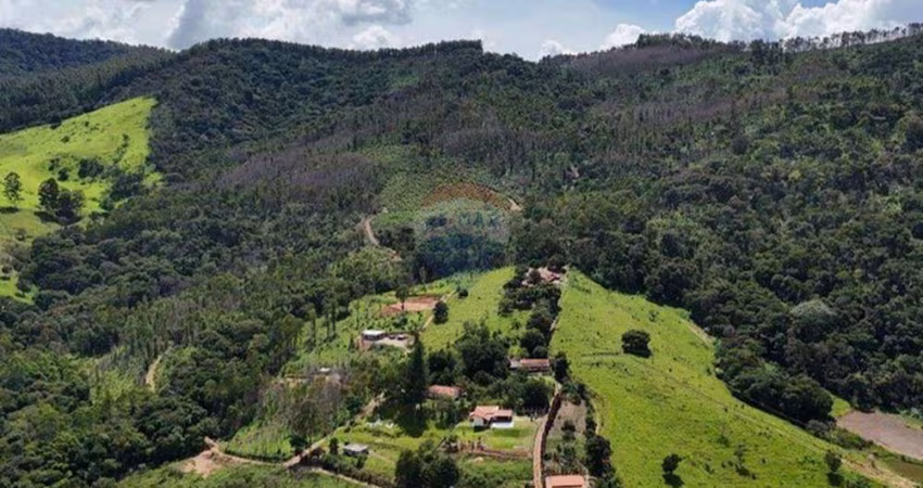 Fazenda à Venda em Vargem - SP