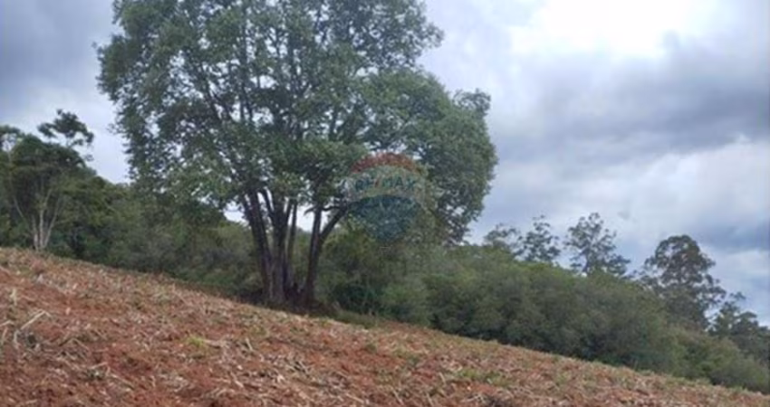Terreno em Pedra Bela, SP 15490 m²