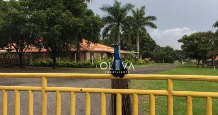 Sítio à venda, 84700 m² por R$ 3.990.000,00 - Zona Rural - Nhandeara/SP