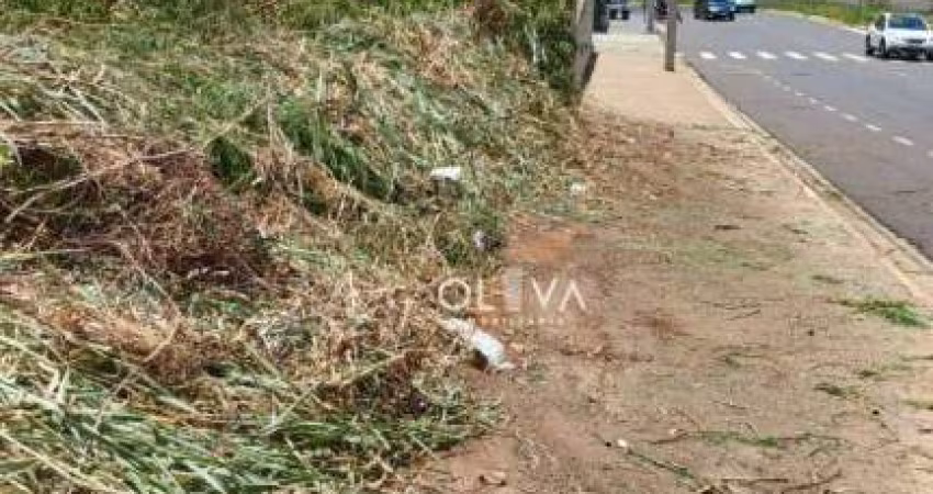 Terreno para alugar, 260 m² por R$ 1.300/mês - Jardim Maracanã - São José do Rio Preto/SP