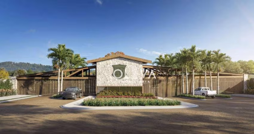 Terreno à venda, 1037 m² por R$ 420.000,00 - Bacuri - Ipiguá/SP