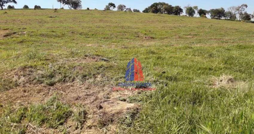 Chácara com 1 dormitório à venda, 45000 m² por r$ 2.000.000,00 - chácara meu cantinho - monte mor/sp