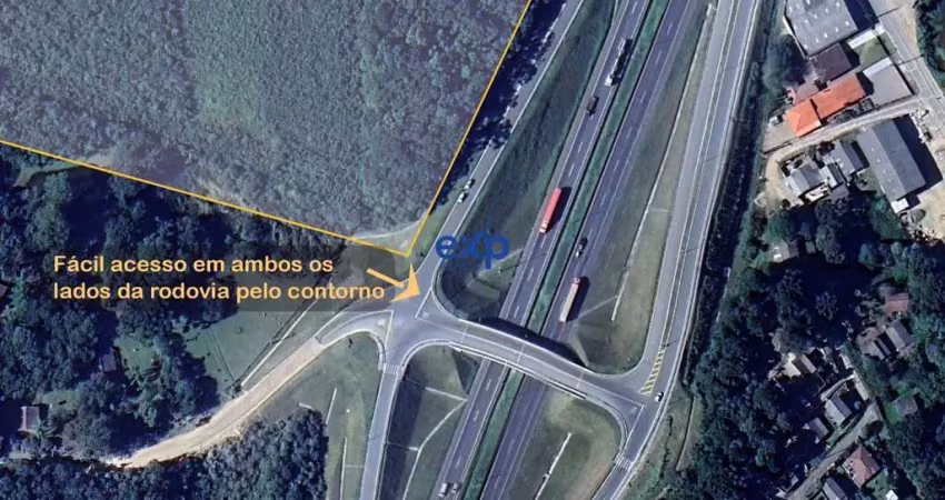Terreno à venda na Rodovia BR-376, Campo Largo da Roseira, São José dos Pinhais